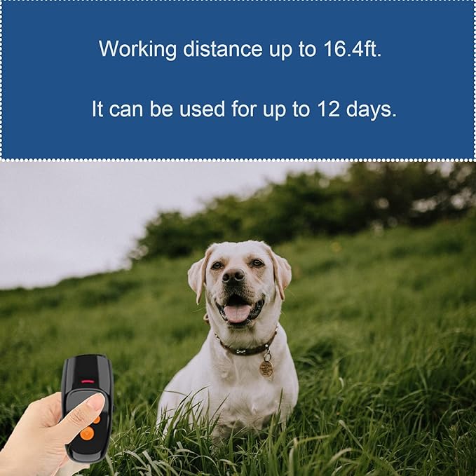 Dispositif de contrôle des aboiements pour chiens avec mode d'entraînement par ultrasons et fonction d'éclairage LED, approche humaine, arrête d'aboyer, saute, comportement gênant